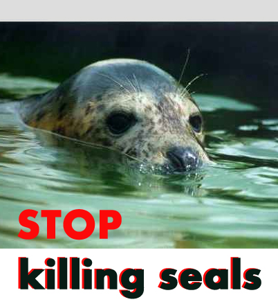 Stop killing seal